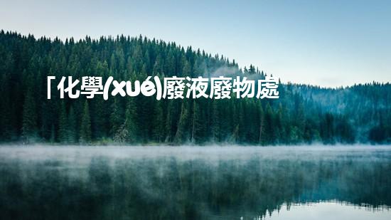 「化學(xué)廢液廢物處理技術(shù)與實踐」