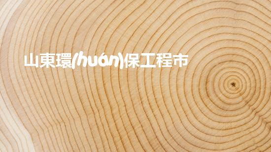 山東環(huán)保工程市場(chǎng)價(jià)分析